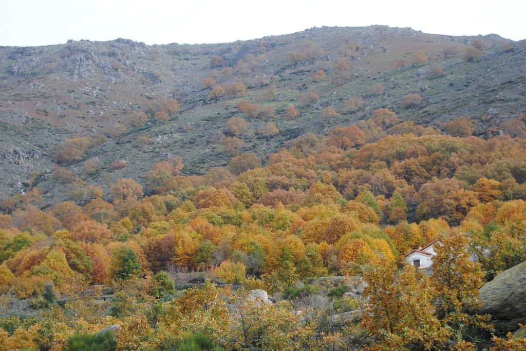 Casa Rural Romanejo Cabezabellosa Buitenkant foto